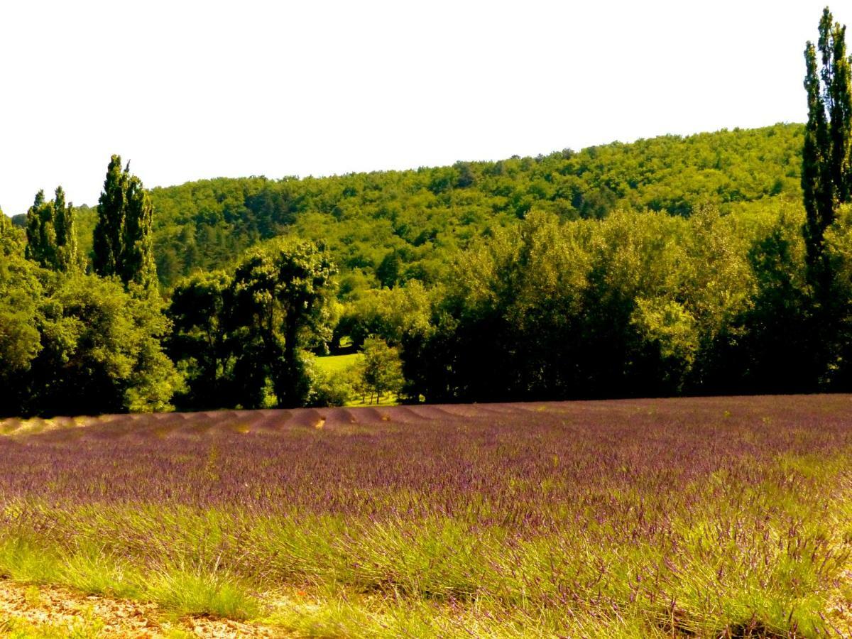 Отель La Fontaine De Rocoule Rochefort-en-Valdaine Экстерьер фото